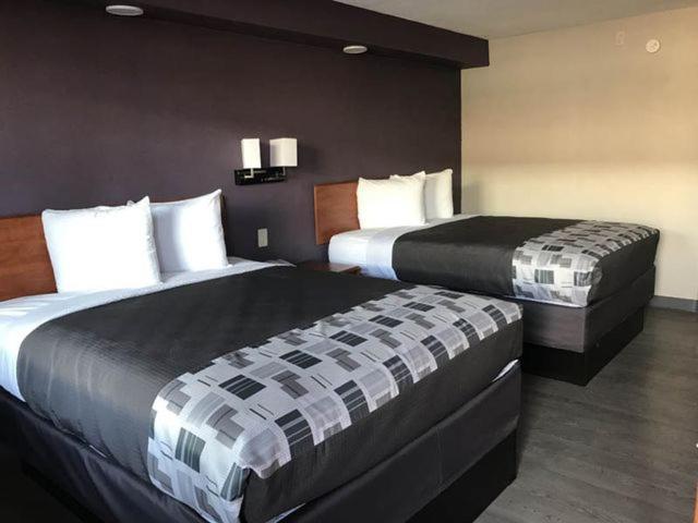 Executive Inn 킹스빌 외부 사진